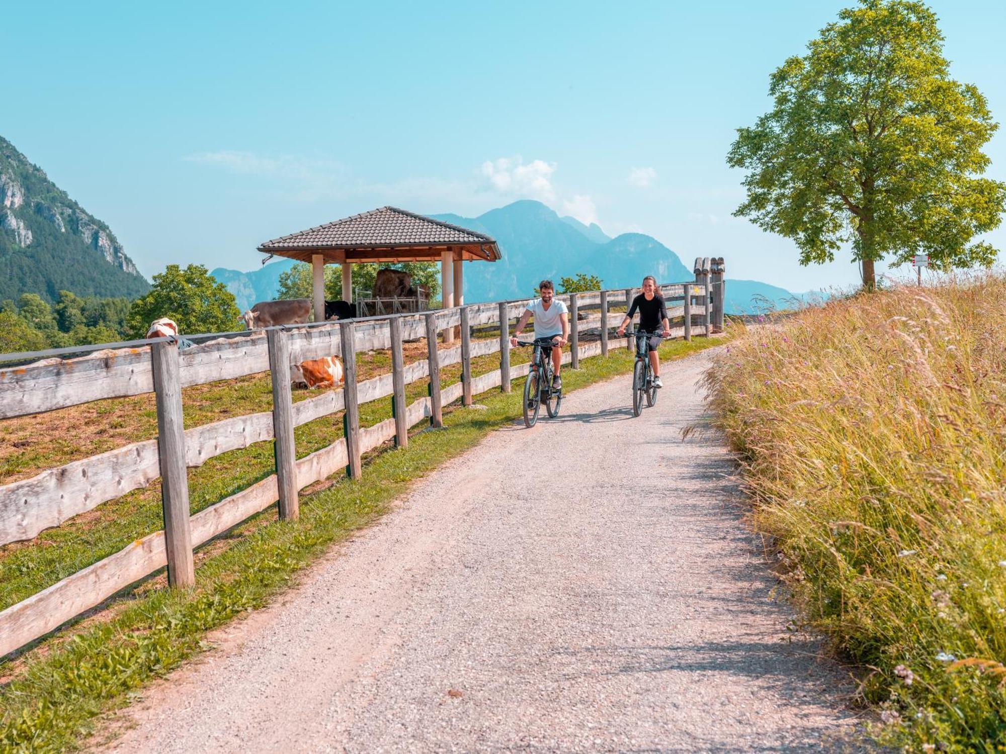 Solea Dolomiti Boutique Hotel 파이델라파가넬라 외부 사진